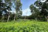 Land for sale in Choeng Thale, Phuket