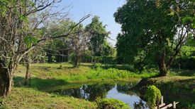 Land for sale in Huai Sak, Chiang Rai