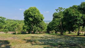 Land for sale in Huai Sak, Chiang Rai