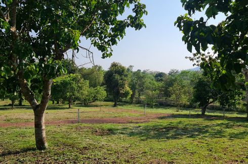 Land for sale in Huai Sak, Chiang Rai