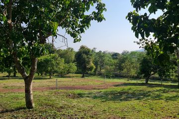 Land for sale in Huai Sak, Chiang Rai