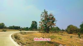 Land for sale in Mae Raeng, Lamphun