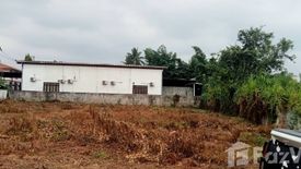 Land for sale in Chiang Khan, Loei