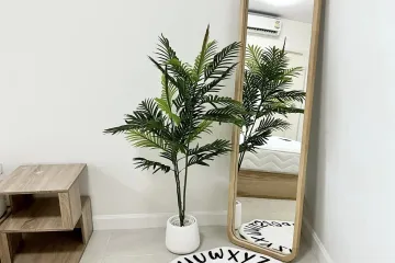 Condo for rent in Supalai Park @ Phuket City, Talat Yai, Phuket