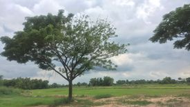 Land for sale in Ban Yai, Nakhon Nayok