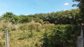 Land for sale in Thep Krasatti, Phuket