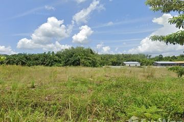 Land for sale in Krabi Noi, Krabi