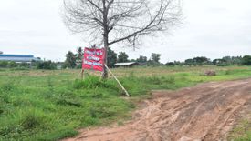 Land for sale in Phon Kha, Sisaket