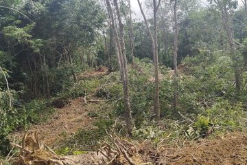 Land for sale in Chalong, Phuket