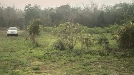 Land for sale in Mae Na, Chiang Mai