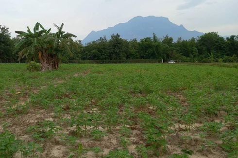 Land for sale in Mae Na, Chiang Mai