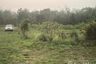 Land for sale in Mae Na, Chiang Mai
