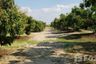 Land for sale in Ban Klang, Chiang Mai
