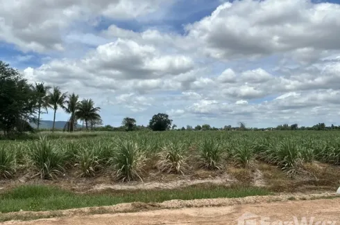 Land for sale in Cha am, Phetchaburi