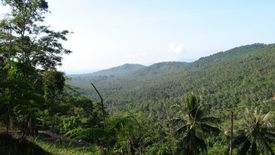 Land for sale in Mae Nam, Surat Thani