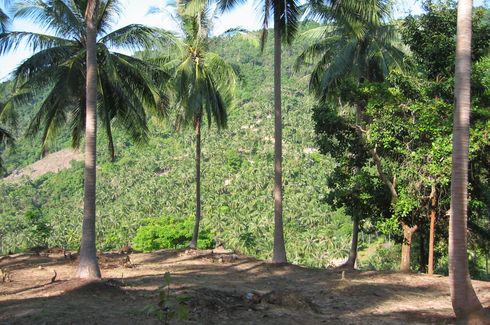 Land for sale in Mae Nam, Surat Thani