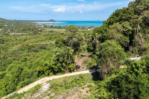 Land for sale in Taling Ngam, Surat Thani