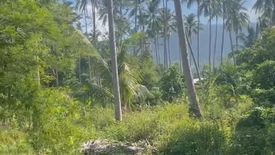 Land for sale in Mae Nam, Surat Thani