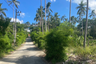 Land for sale in Mae Nam, Surat Thani
