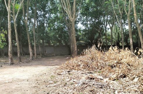 Land for sale in Choeng Thale, Phuket