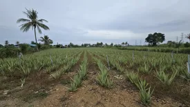 Land for sale in Thap Tai, Prachuap Khiri Khan