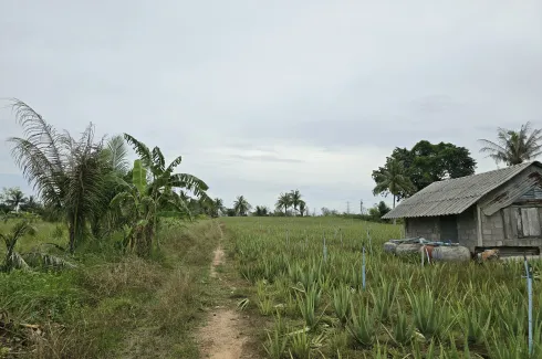 Land for sale in Thap Tai, Prachuap Khiri Khan