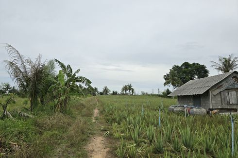 Land for sale in Thap Tai, Prachuap Khiri Khan