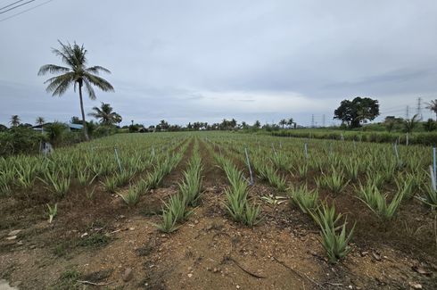 Land for sale in Thap Tai, Prachuap Khiri Khan