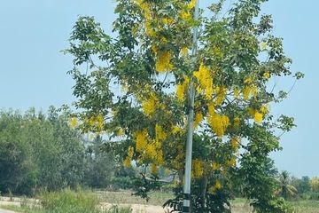 Land for sale in Sam Phraya, Phetchaburi