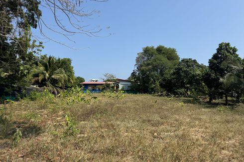 Land for sale in Rawai, Phuket