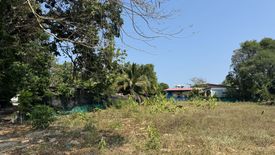 Land for sale in Rawai, Phuket