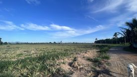 Land for sale in Wang Phong, Prachuap Khiri Khan