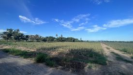 Land for sale in Wang Phong, Prachuap Khiri Khan