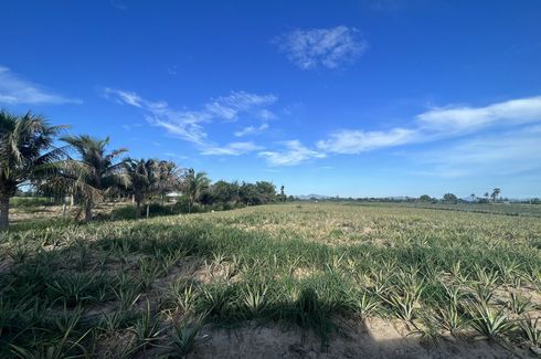 Land for sale in Wang Phong, Prachuap Khiri Khan