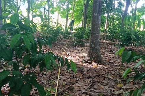 Land for sale in Rawai, Phuket