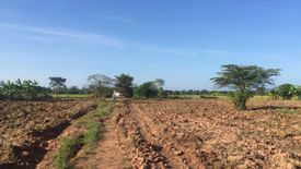 Land for sale in Hang Nam Sakhon, Chainat