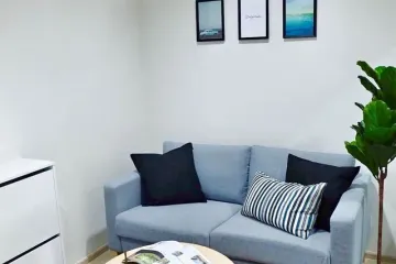 1 Bedroom Condo for rent in Life Sukhumvit 48, Phra Khanong, Bangkok near BTS Phra Khanong