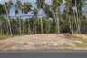Land for sale in Khanom, Nakhon Si Thammarat
