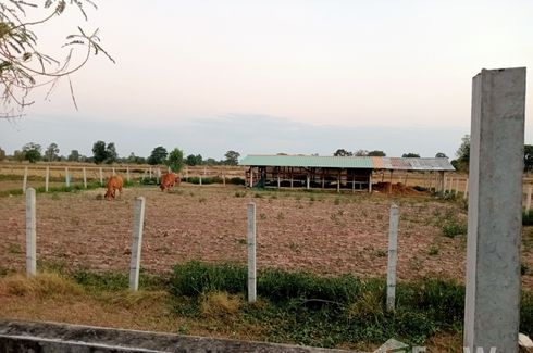 Land for sale in Non Sa-nga, Roi Et