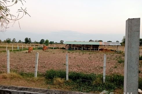 Land for sale in Non Sa-nga, Roi Et