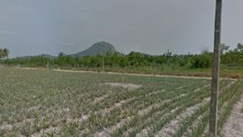 Land for sale in Wang Phong, Prachuap Khiri Khan