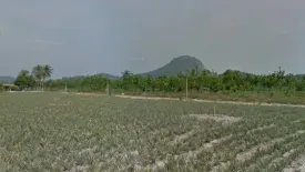 Land for sale in Wang Phong, Prachuap Khiri Khan