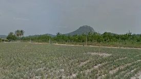 Land for sale in Wang Phong, Prachuap Khiri Khan