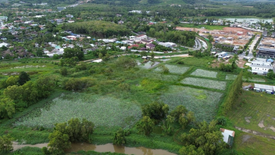 Land for sale in Thep Krasatti, Phuket