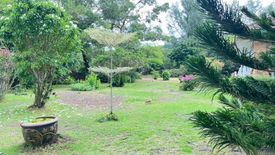 Land for sale in Pa Khlok, Phuket