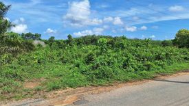 Land for sale in Pa Khlok, Phuket