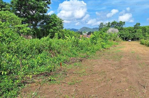 Land for sale in Pa Khlok, Phuket