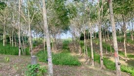 Land for sale in Choeng Thale, Phuket