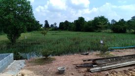 Land for sale in Tha Sawang, Surin