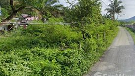 Land for sale in Patong, Phuket